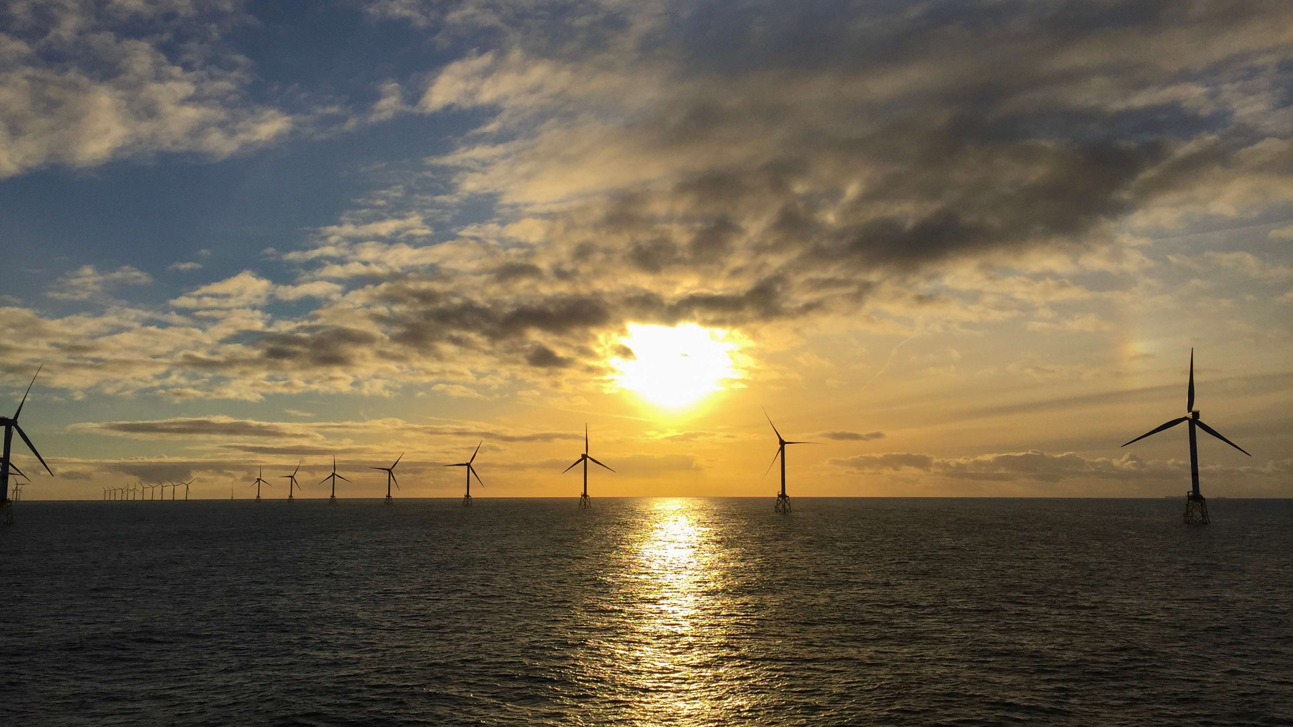 Shutterstock 780327043 (1)